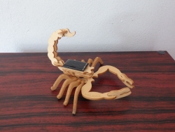 Scorpion Vibrant